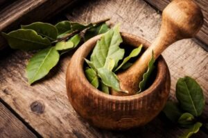 comment manger une feuille de laurier minimum calories quantité fibres vitamines minéraux antioxydants