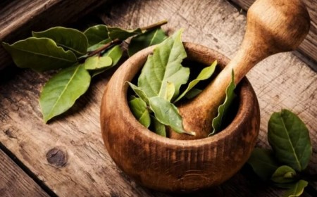 comment manger une feuille de laurier minimum calories quantité fibres vitamines minéraux antioxydants