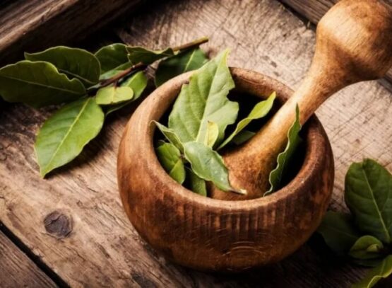 comment manger une feuille de laurier minimum calories quantité fibres vitamines minéraux antioxydants