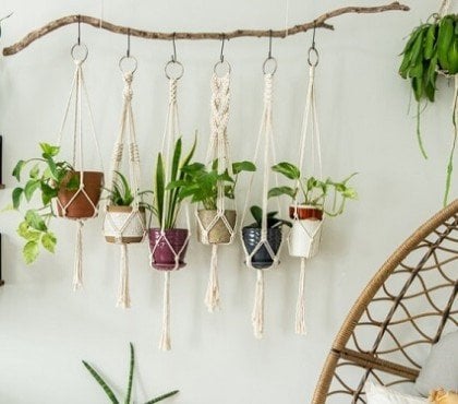 comment suspendre plantes sans percer plafond mur idée crochets adhésifs amovibles