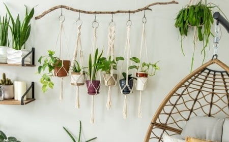 comment suspendre plantes sans percer plafond mur idée crochets adhésifs amovibles