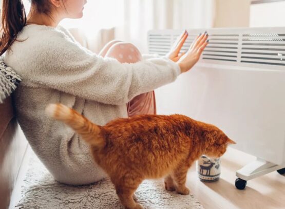 fausses bonnes idées pour faire des économie de chauffage électrique gaz bois maison hiver 2023