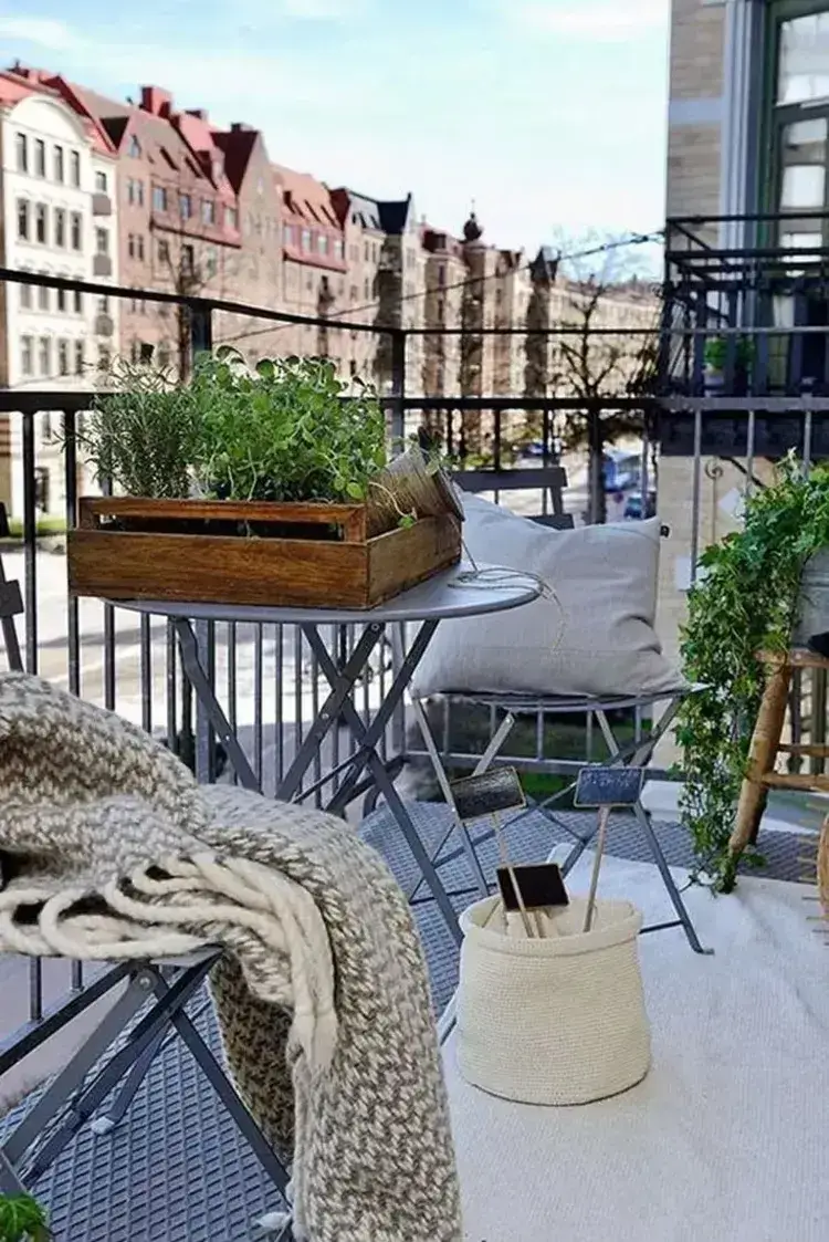 plantes d hiver pour balcon intrépides face froid évoquer bonne humeur joie