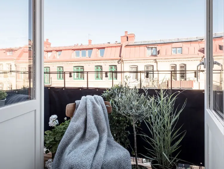 plantes hiver pour balcon intrépides face froid évoquer bonne humeur joie