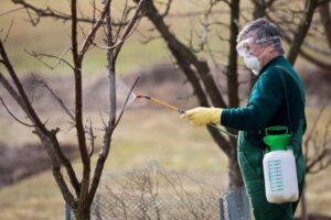 quand traiter les arbres fruitiers en hiver huile de colza