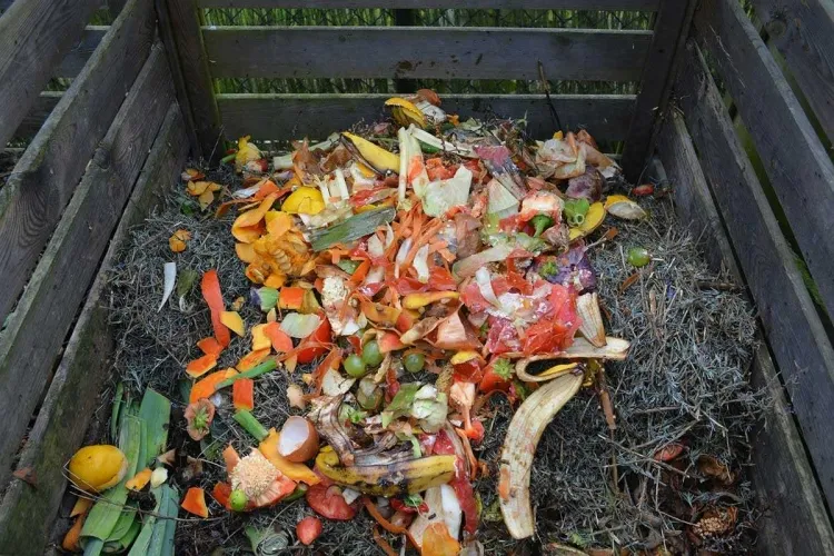 que mettre dans le compost quels aliments déchets restes bons composter