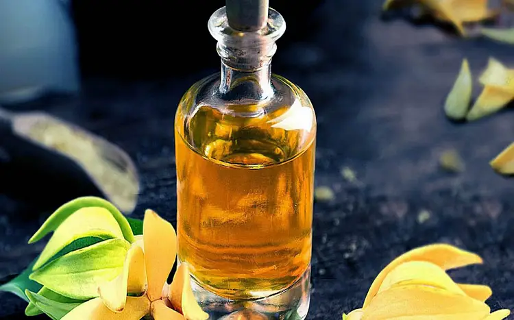 quelle huile essentielle d'ylang-ylang bien etre calme anti stress sante