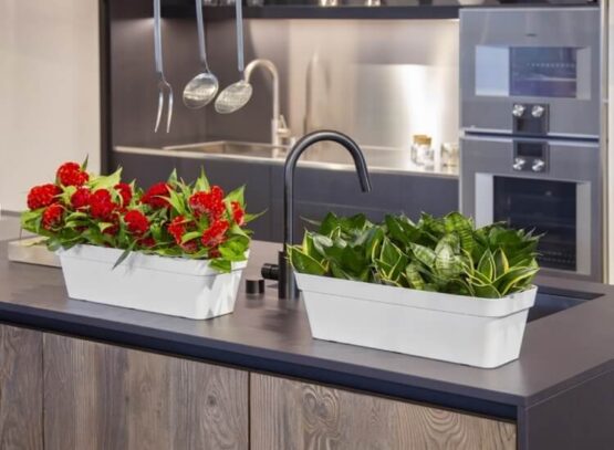 quelle plante dépolluante pour purifier l'air capables absorber composés chimiques invisibles