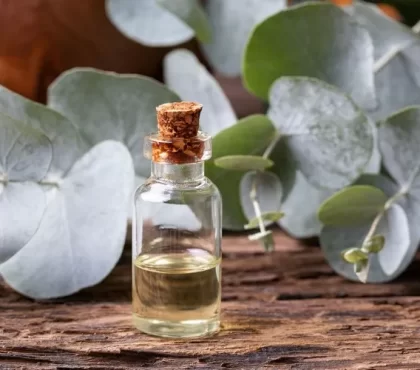 quelles huiles essentielles pour le rhume eucalyptus remède naturel virus d'hiver