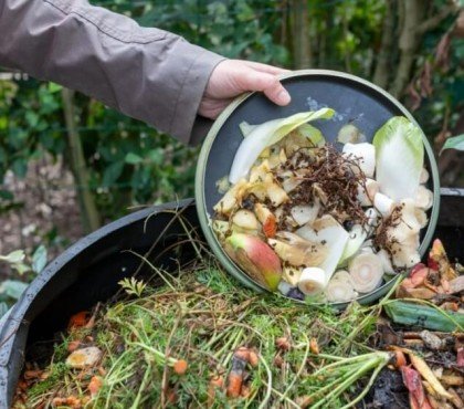 quels déchets ne pas composter quels aliments déchets restes éviter composter