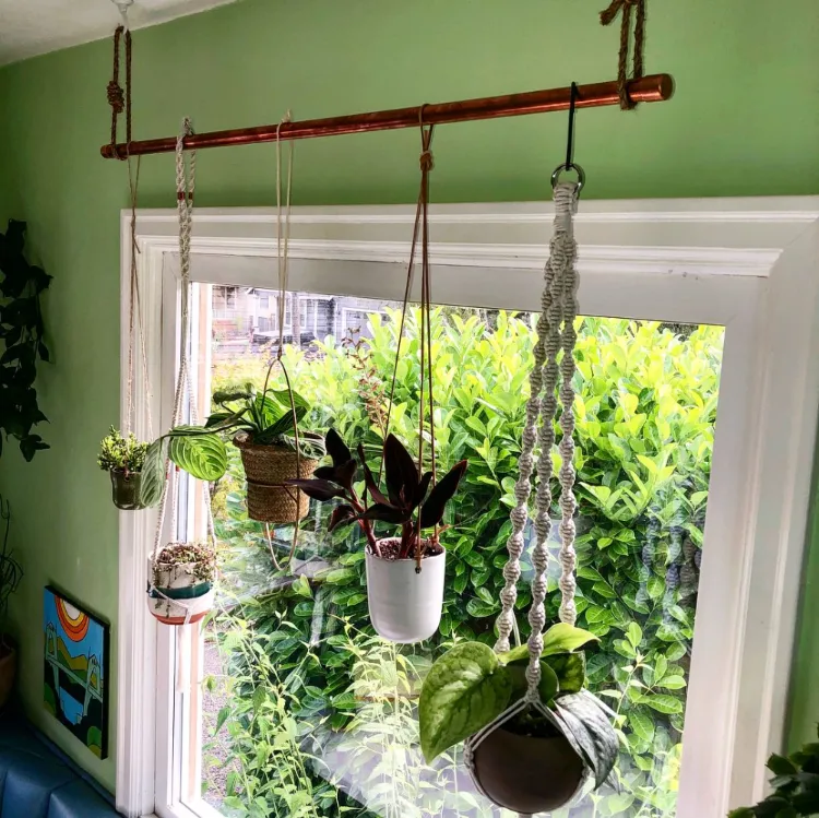 suspendre plantes sans percer plafond mur idée crochets adhésifs amovibles barre