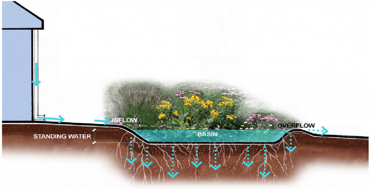 astuces jardin déco aménagement paysager comment faire un jardin de pluie pratique urbain hiver plantes cailloux
