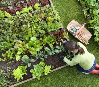 comment adopter la tendance jardin 2023 slow gardening pour jardiner sans stress avec plaisir