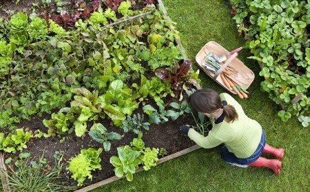 comment adopter la tendance jardin 2023 slow gardening pour jardiner sans stress avec plaisir