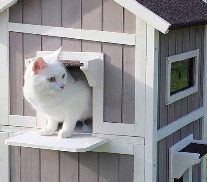 comment fabriquer facile maison chat brico