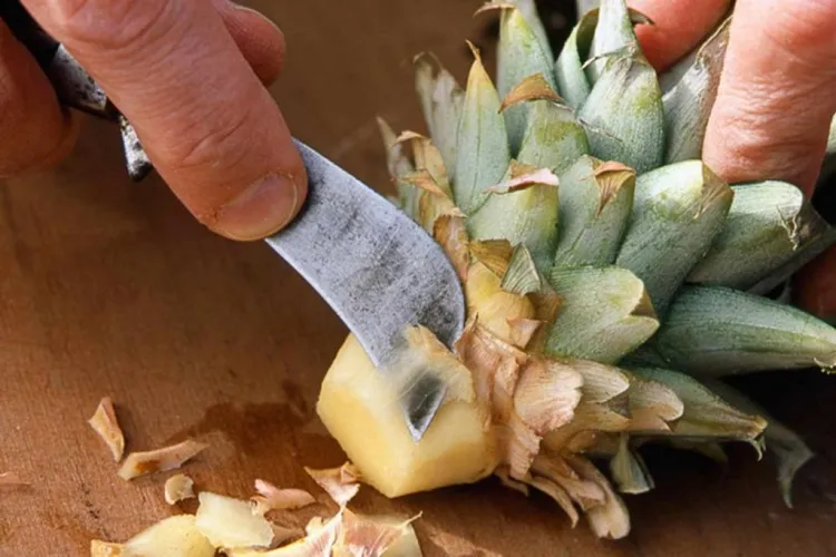 comment faire pousser un ananas à partir d'un fruit