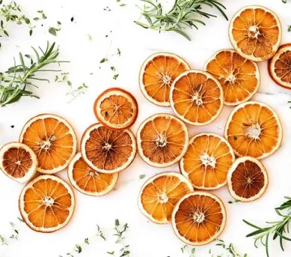 comment faire sécher des oranges naturellement sans four ni déshydrateur alimentaire séchage air libre soleil