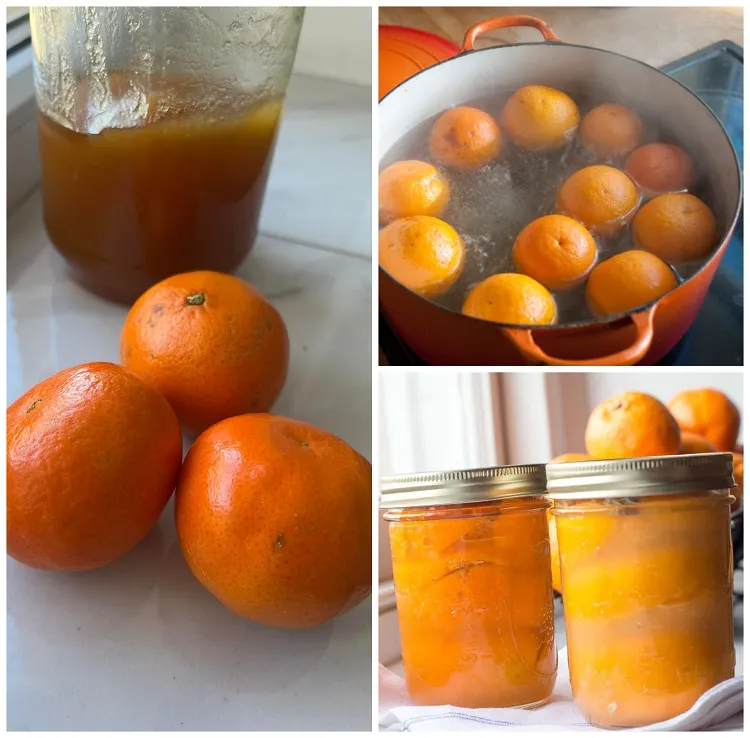 comment faire une confiture hiver maison pour conserver ses clémentines plus longtemps recette facile deavita