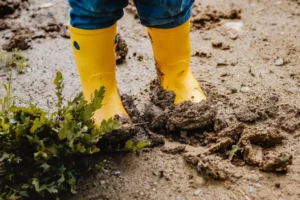 comment ne pas avoir de boue dans le jardin matériaux pour améliorer la structure du terrain planter des arbres jardin boueux que faire