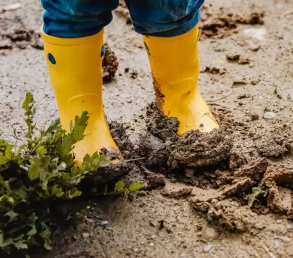 comment ne pas avoir de boue dans le jardin matériaux pour améliorer la structure du terrain planter des arbres jardin boueux que faire