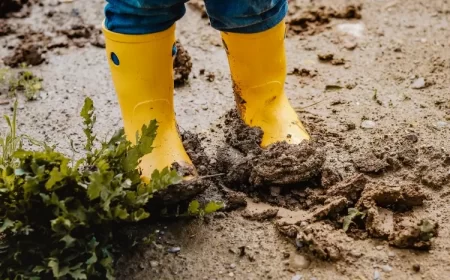comment ne pas avoir de boue dans le jardin matériaux pour améliorer la structure du terrain planter des arbres jardin boueux que faire