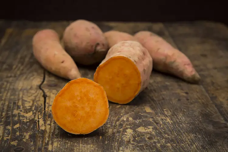 cultiver des patates douces jardin pot boutures