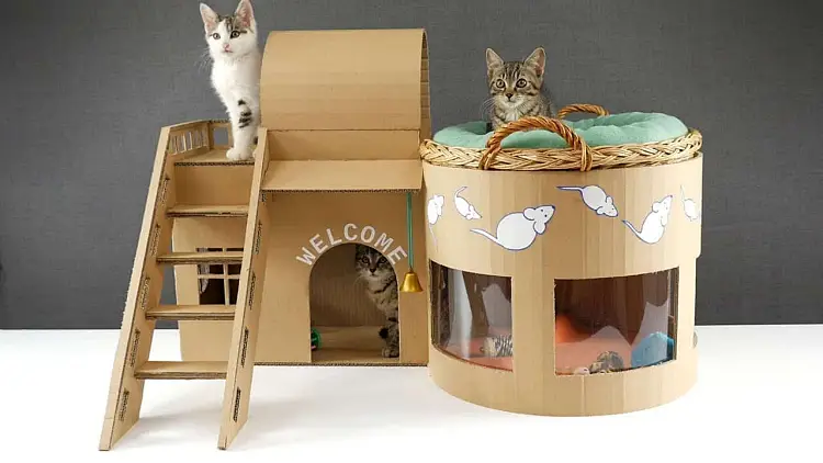 fabriquez une maison de chat en carton facile brico