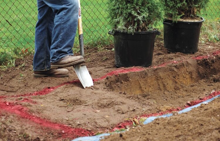 planter une haie distance voisin