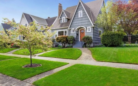 quel arbre à planter à côté d'un mur bouleau sorbier laurier aubépine petite taille