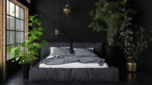 quelles sont les plantes qui n'ont pas besoin de lumière intérieur