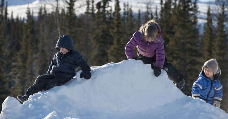 sélection d'activités pour enfants à proposer en janvier 2023