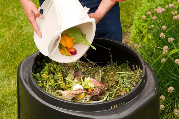slow gardening trend 2023 organic garden eco local recycling compost stress free gardening