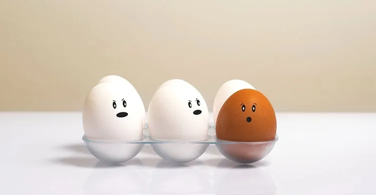 Comment conserver les œufs le plus longtemps possible