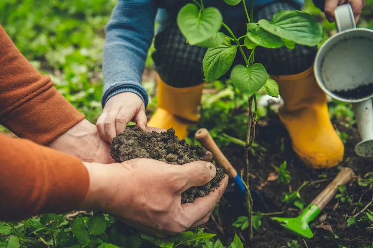 Comment préparer jardin pour printemps conseils astuces jardinier potage sol terre