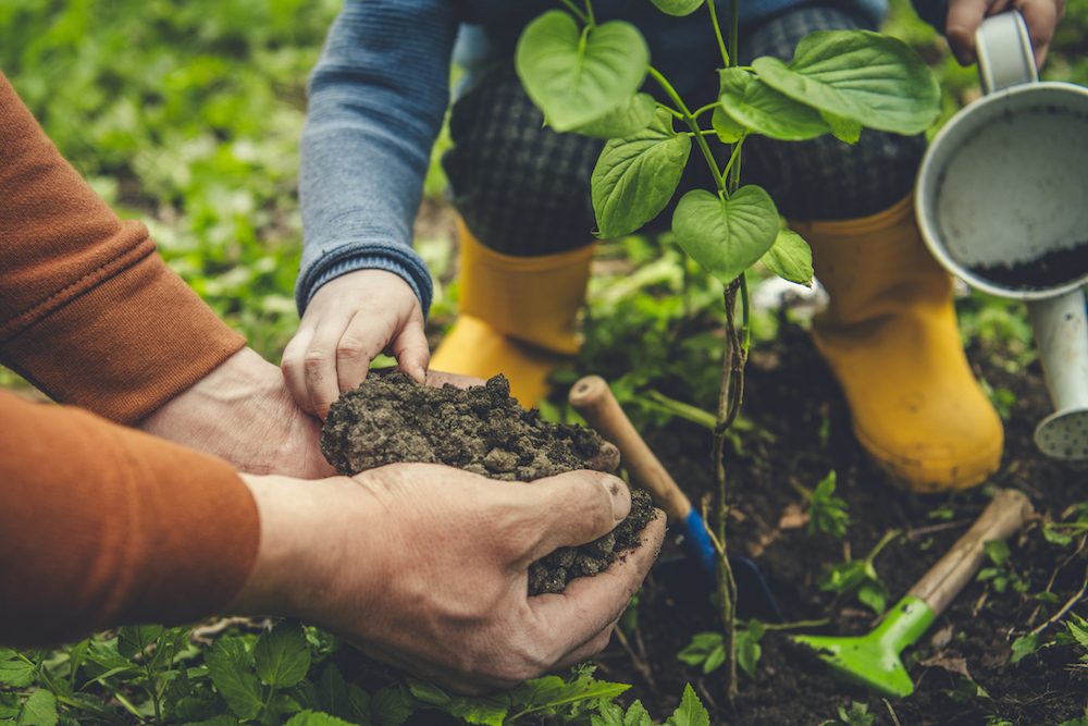 Comment-preparer-jardin-pour-printemps-conseils-astuces-jardinier-potager-sol-terre.jpg