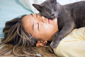 Pourquoi le chat se couche sur moi