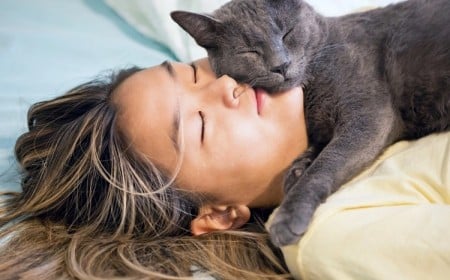 Pourquoi le chat se couche sur moi
