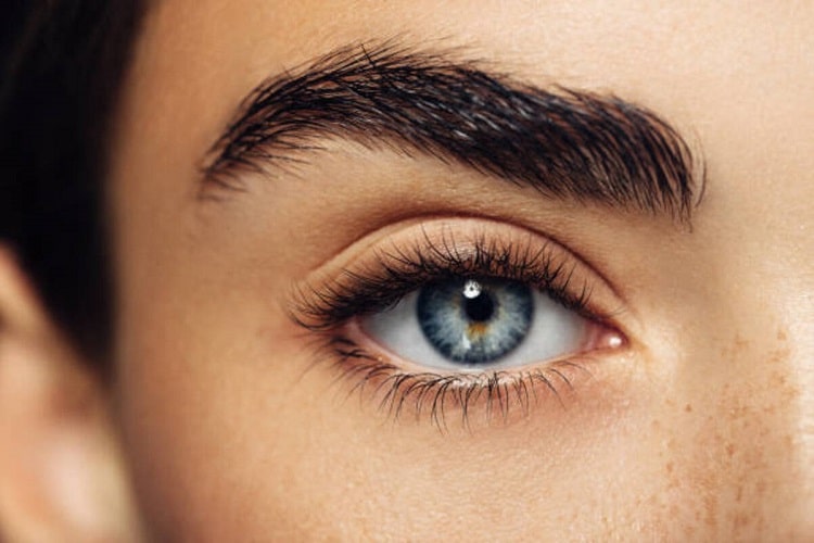 Pourquoi les sourcils s arretent de pousser