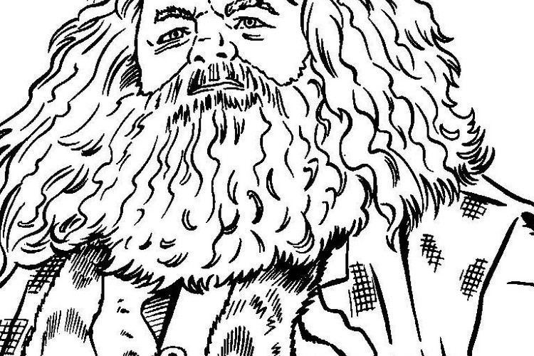 Coloriage Harry Potter à imprimer gratuitement : 30+ idées pour toute
