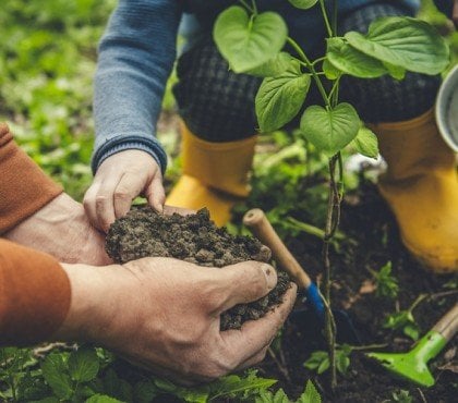 comment preparer jardin pour printemps conseils astuces jardinage jardinier debutant preparation potager sol terre
