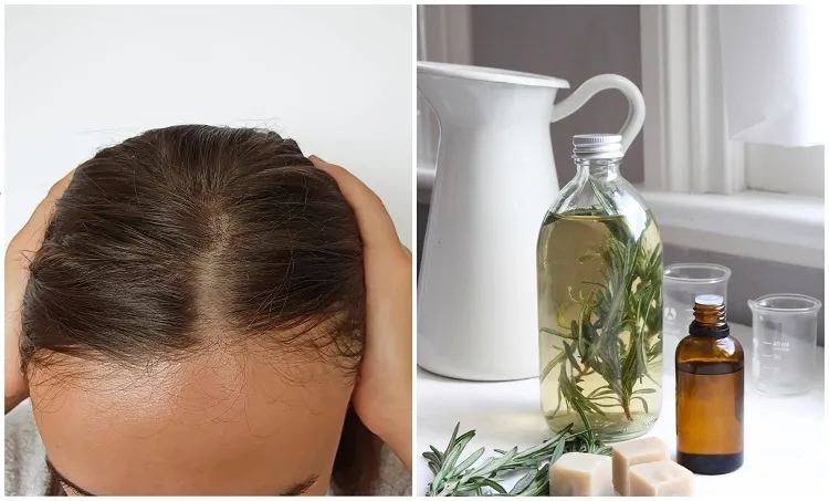 comment utiliser le romarin pour faire pousser les cheveux recette anti chute capillaire eau romarin huile infusion spray diy