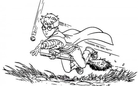 dessin harry potter à imprimer gratuitement jeu de quidditch vif d'or