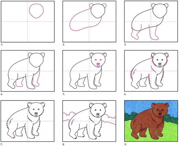 dessin ours facile comment dessiner ourson école élémentaire enfants 9 10 11 ans