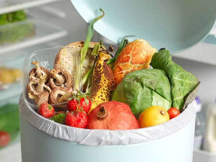 gaspillage nourriture aliments legumes pas cher soupe congeler