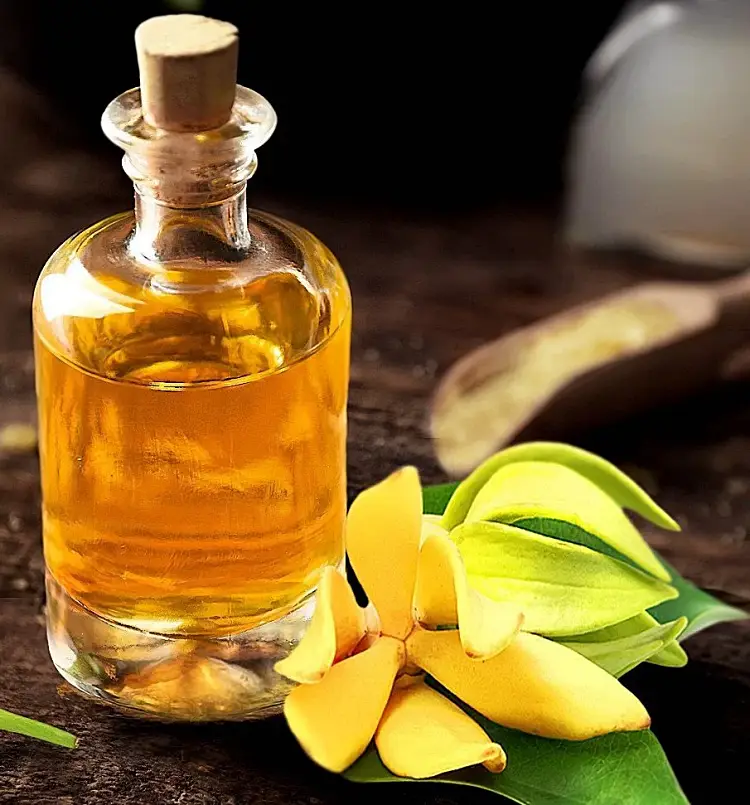 huiles essentielles aphrodisiaques bain diffuseur ylang ylang intime
