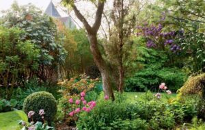 jardin de curé dépression anxiété déprime soigner travail jardin planter vivaces annuelles