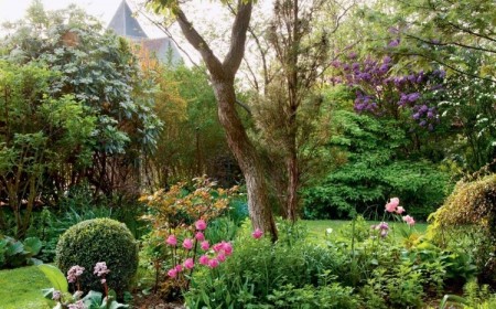 jardin de curé dépression anxiété déprime soigner travail jardin planter vivaces annuelles