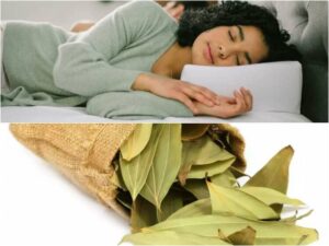 pourquoi dormir avec des feuilles de laurier apporter chances prospérité financière