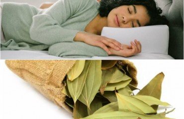 pourquoi dormir avec des feuilles de laurier apporter chances prospérité financière