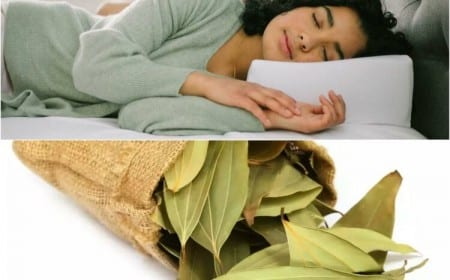 pourquoi dormir avec des feuilles de laurier apporter chances prospérité financière